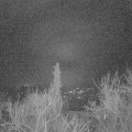 Webcam_20180110-063155