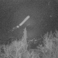 Webcam_20180110-063555