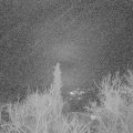 Webcam_20180111-062200