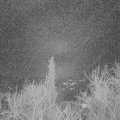Webcam_20180111-063000