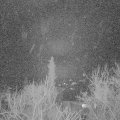 Webcam_20180111-065000