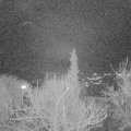 Webcam_20180113-192313