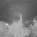 Webcam_20180113-201313
