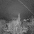 Webcam_20180118-052435