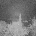 Webcam_20180121-070000