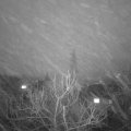 Webcam_20180122-174000