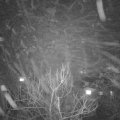 Webcam_20180122-181000