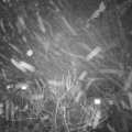Webcam_20180122-182000