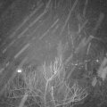 Webcam_20180122-190000