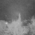 Webcam_20180123-201000