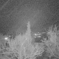 Webcam_20180125-203000