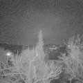 Webcam_20180126-195000