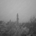 Webcam_20180127-173000