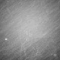 Webcam_20180127-175000