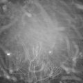 Webcam_20180127-185000
