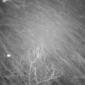 Webcam_20180127-190000