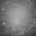 Webcam_20180127-191000