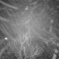 Webcam_20180127-195000