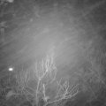 Webcam_20180127-202000