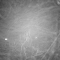 Webcam_20180127-204000