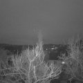 Webcam_20180128-072731