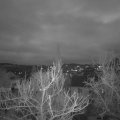 Webcam_20180128-175731