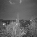 Webcam_20180130-210000
