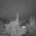 Webcam_20180131-071000
