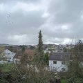 Webcam_20180201-115000