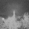 Webcam_20180203-194000