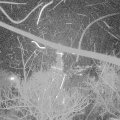 Webcam_20180204-184000
