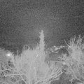 Webcam_20180204-205000