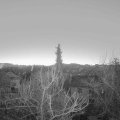 Webcam_20180207-071000