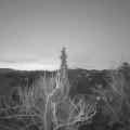 Webcam_20180208-070000