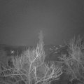 Webcam_20180209-070000