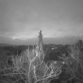 Webcam_20180210-070000