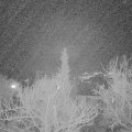 Webcam_20180216-202000