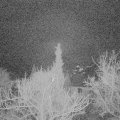 Webcam_20180331-060000