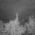 Webcam_20180401-061500
