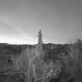 Webcam_20180406-060000