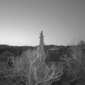 Webcam_20180409-060000