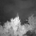 Webcam_20180530-000000