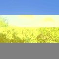 Webcam_20180530-181500