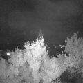 Webcam_20180531-224500