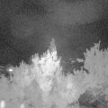 Webcam_20180602-000000