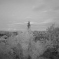 Webcam_20180602-220000