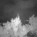 Webcam_20180604-230000