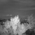 Webcam_20180606-223000