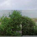 Webcam_20180610-203000