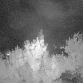 Webcam_20180611-000000